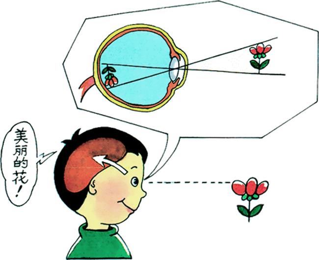 它如何让你我远在天涯也能近在咫尺？