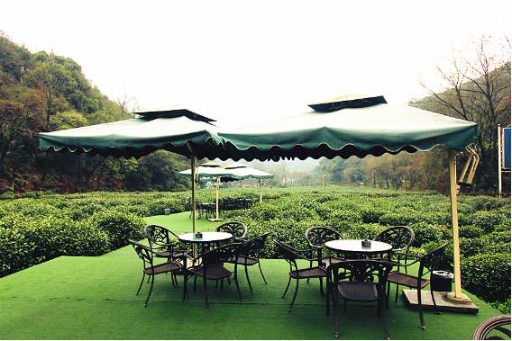 魔都5大绝美免费景点,魔都十大避暑景点