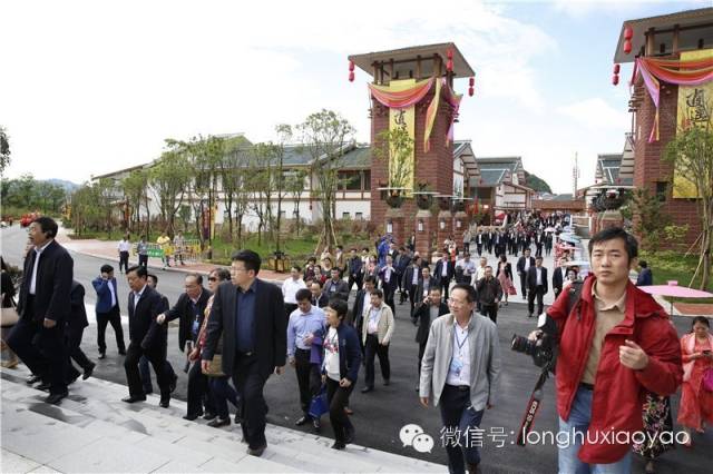 *卫强**书记为啥称赞龙虎山逍遥城“大项目，好手笔”？