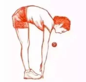 张雨绮怎么瘦成筷子腿,张雨绮如何练腿