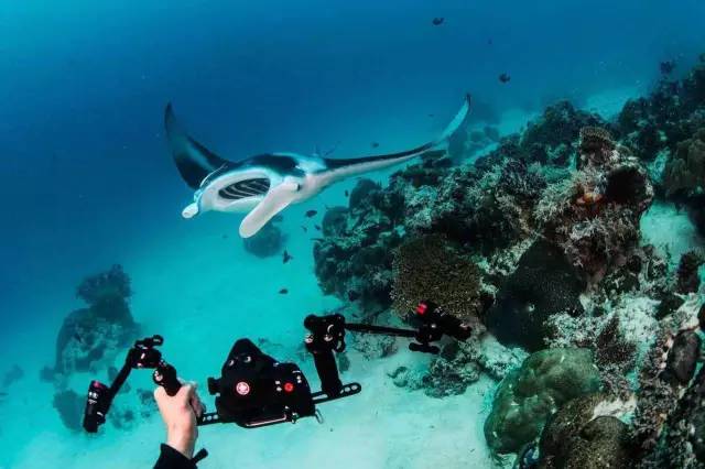 帕劳潜水旅行攻略,帕劳潜水旅行清单