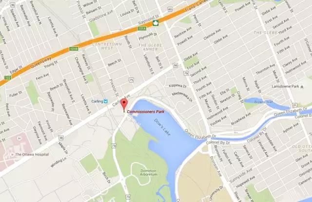 郁金香花节,全世界最大的郁金香