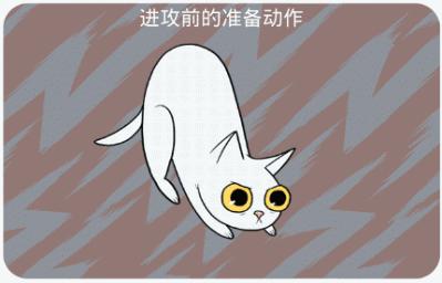 新手养猫指南铲屎官必看,铲屎官最容易忽略的五点养猫常识