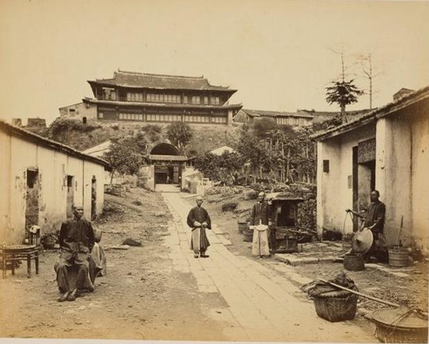 三鞭参茸固本丸功效与作用禁忌,同仁堂固本丸