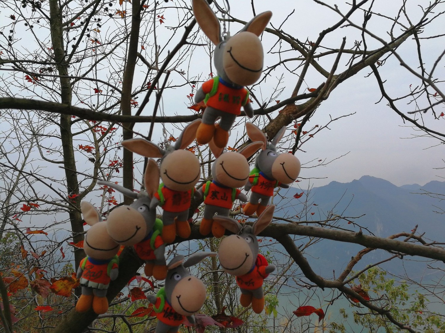 柳州旗山,柳州旗山视频