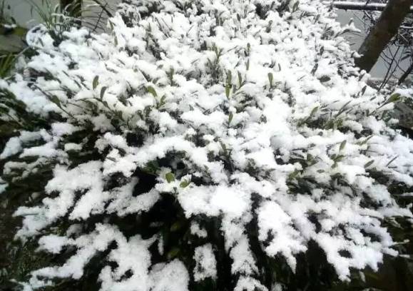 姹変腑鍧愰珮閾佺帺鐨勫ソ鍘诲,鍘绘眽涓帺濂借繕鏄幓骞垮厓鐜╁ソ