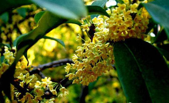 姹変腑鍧愰珮閾佺帺鐨勫ソ鍘诲,鍘绘眽涓帺濂借繕鏄幓骞垮厓鐜╁ソ