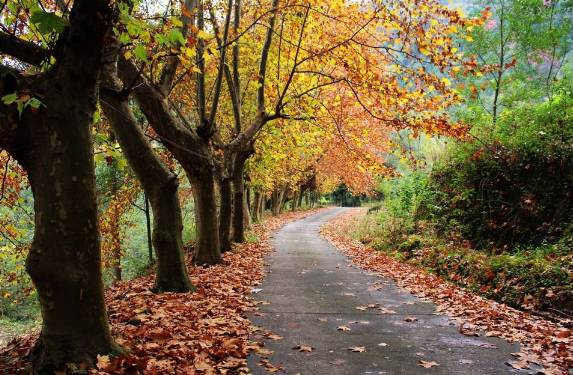 姹変腑鍧愰珮閾佺帺鐨勫ソ鍘诲,鍘绘眽涓帺濂借繕鏄幓骞垮厓鐜╁ソ