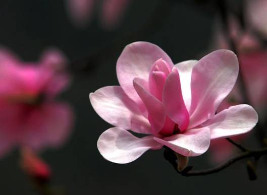 姹変腑鍧愰珮閾佺帺鐨勫ソ鍘诲,鍘绘眽涓帺濂借繕鏄幓骞垮厓鐜╁ソ