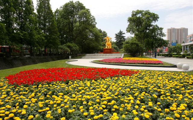 金牛怎么快速成长,金牛走出五年困局