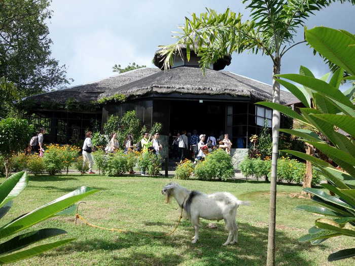 长滩之旅分享篇,长滩旅游行程