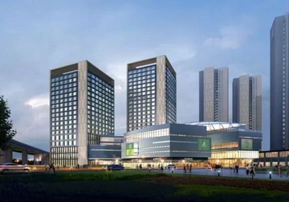 金牛怎么快速成长,金牛走出五年困局