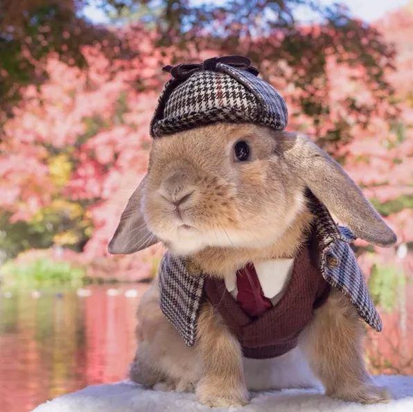 十二生肖驾到，时尚精们给我退下！