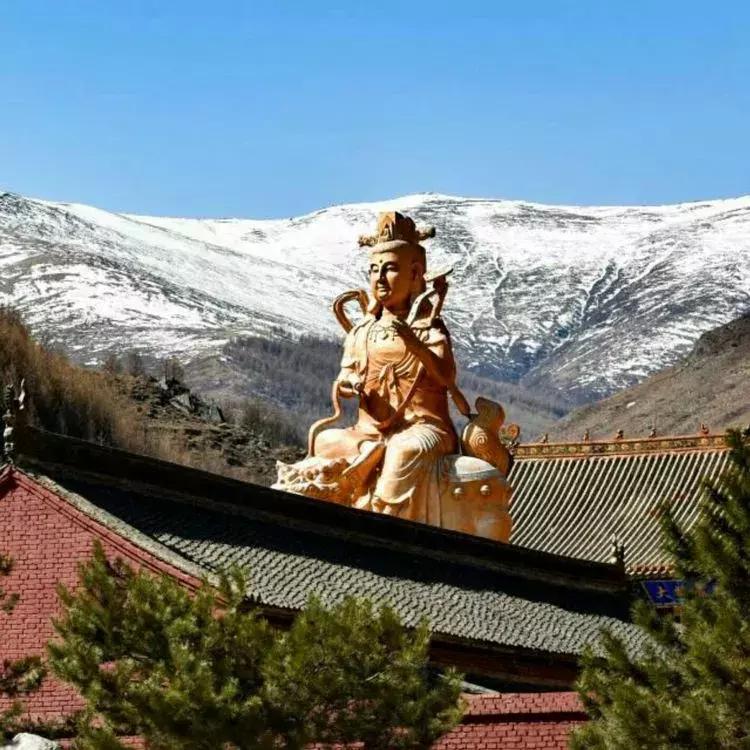 春节旅游一定要去五台山吗,今年冬天一定要去一趟五台山