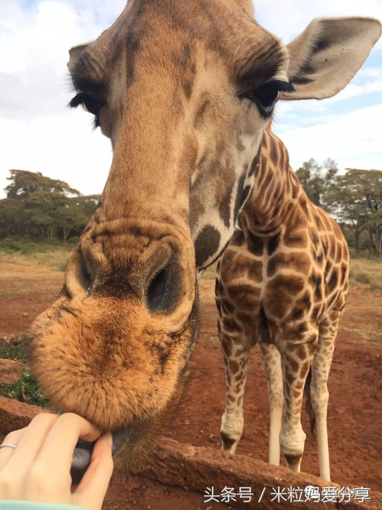 亲子游出境自由行,亲子游建议去的十个城市