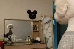 贵宾抱抱熊,抱抱熊特大深红色