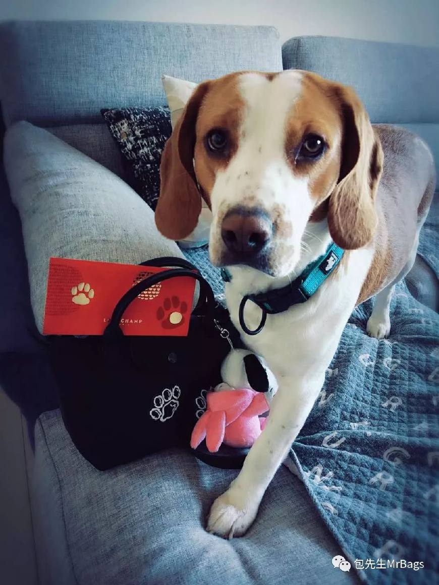 包治百病chanel值得购买的包包,包治百病lv爱马仕