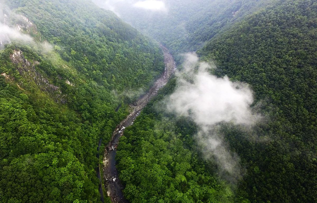 把腊肉烧得滋滋冒油,腊肉在锅里煮闻不到腊肉的味道