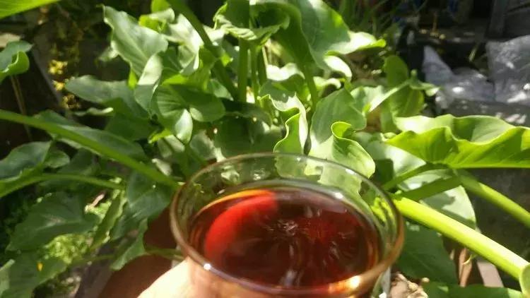 与大理古城最后一晚的邂逅,与大理的第五次相遇