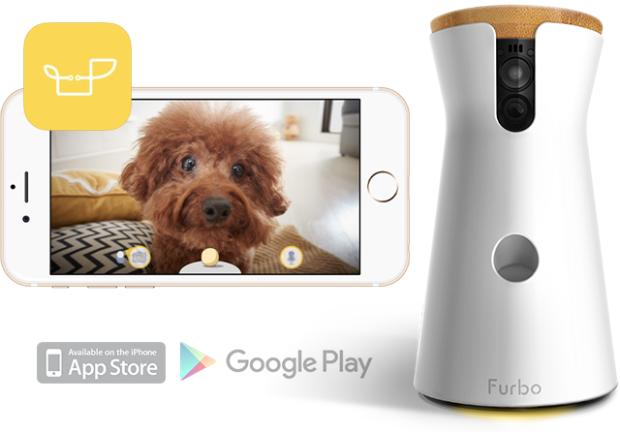 智能宠物喂食器推荐,完全密封的宠物智能喂食器