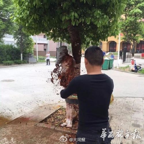 新闻龙门阵｜遭泼狗血！这个新郎太惨了，我宁愿单身到老