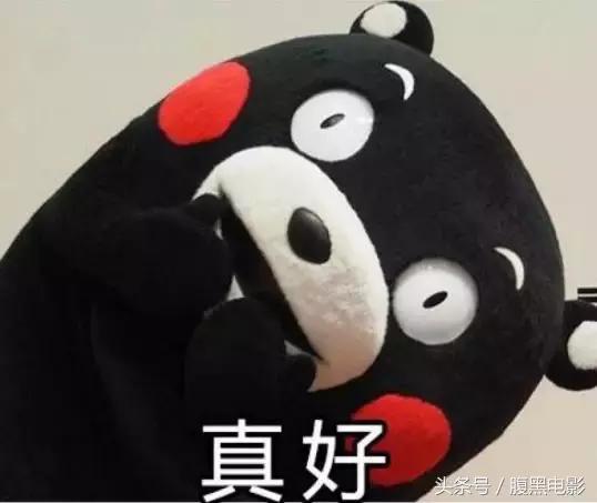 今年的网剧，就靠这几部了