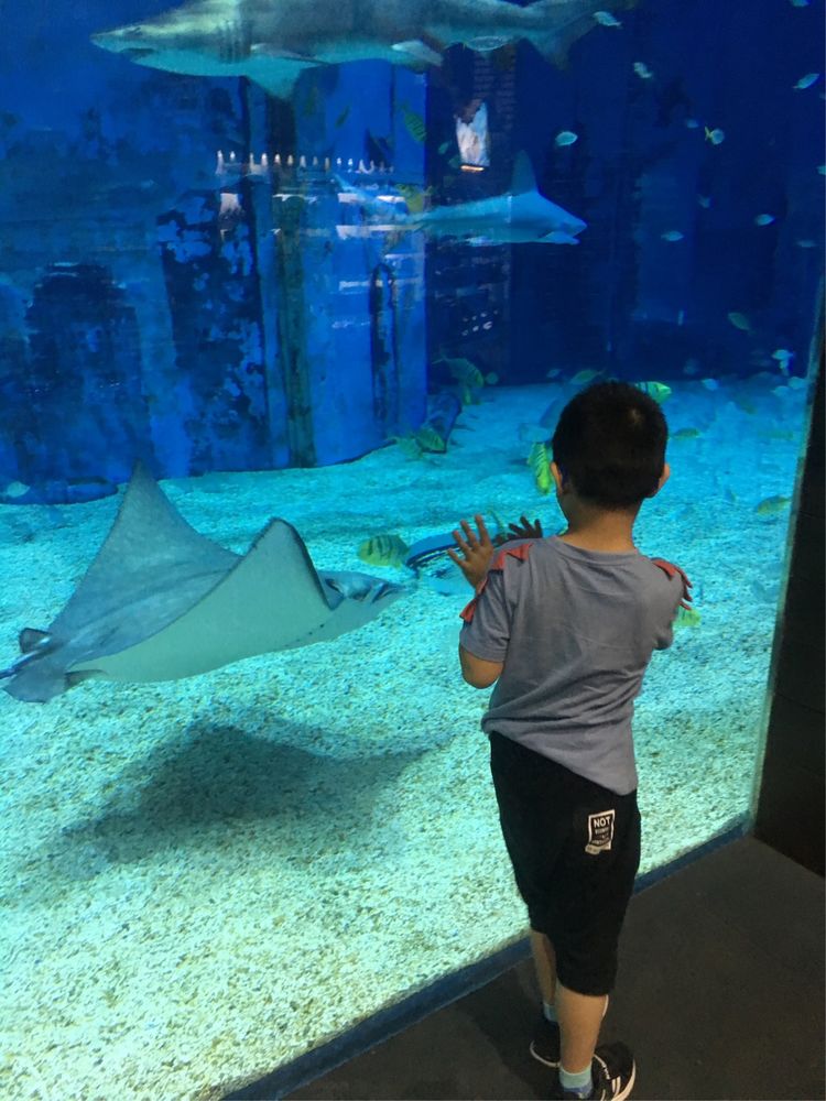 和小屁孩们一起出去玩的视频,和小屁孩玩的一天