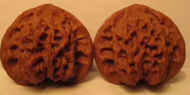 文玩核桃品种图鉴大全前十名,文玩核桃手串品种大全