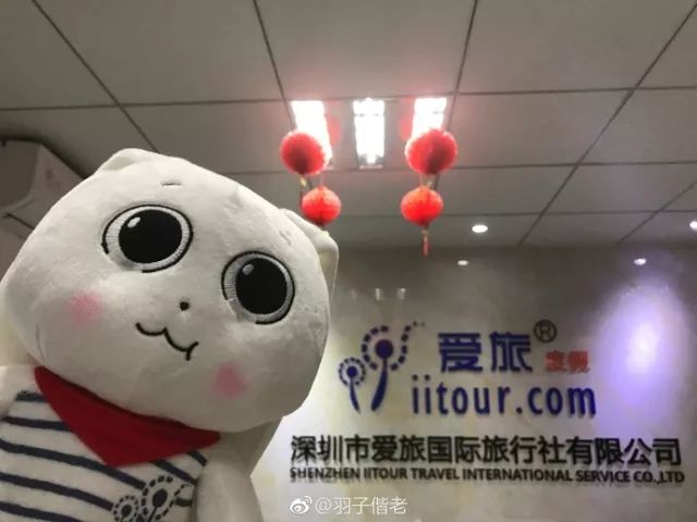 不再关心不再过问,不再过问身后事