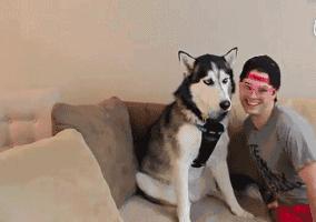 12生肖中一定要好好珍惜的生肖,十二生肖贺岁生肖