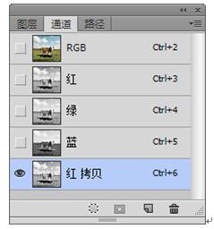 ps怎么用奶牛的斑点,ps如何调整牛肉颜色