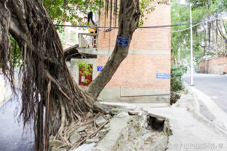 福州仓山老洋房景点,福州仓山城门老洋房