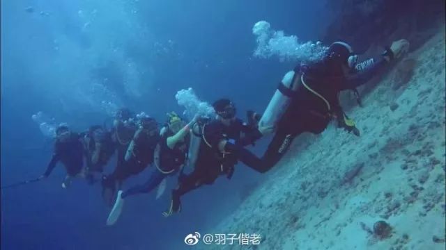 不再关心不再过问,不再过问身后事