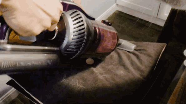 猫奴必做攻略,猫奴必看喵星人