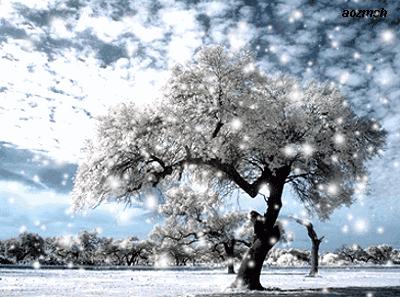 新世纪“零利回馈”，全场低至1折起！全民疯抢！仅限10小时！