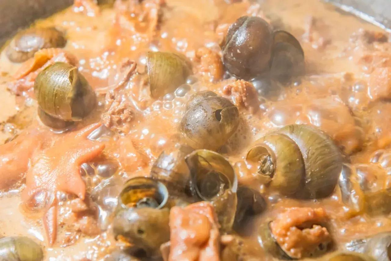 同福路金辉田螺鸡煲地址,同福西田螺鸡煲