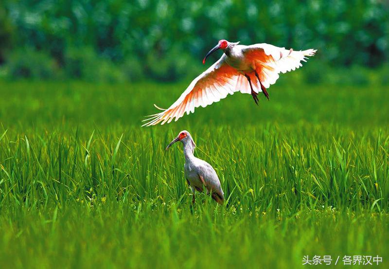 宜居宜业宜游魅力区,宜居宜业新魅力