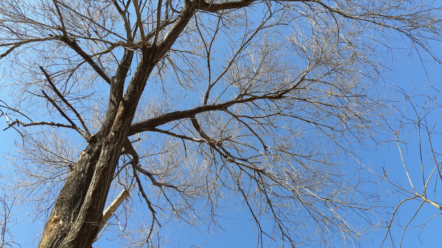 三星6续航怎样,三星六核处理器