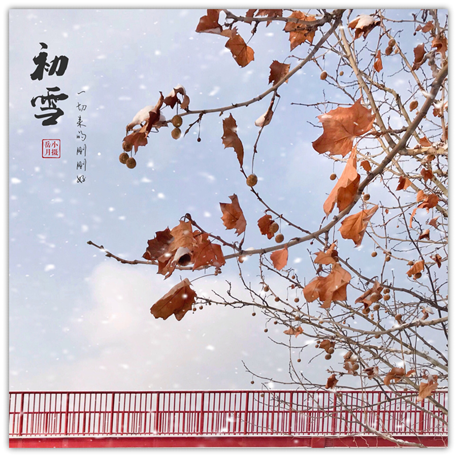 手机如何把图片变成印章效果,为照片添加复古印章