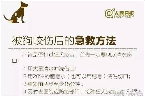 求助小猫被绳子缠住后续,被猫抓了要去打针吗