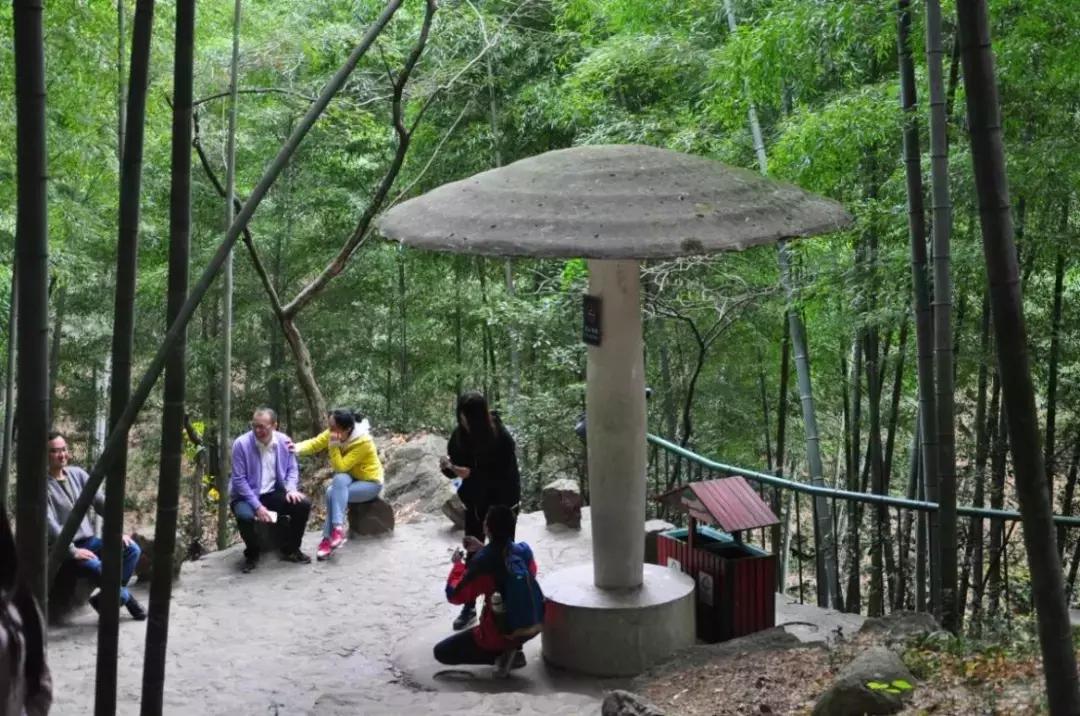 探一探海底世界，访一访竹林人家