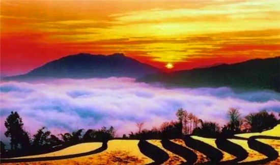 落地自驾云贵黄果树瀑布罗平油菜花元阳梯田西双版纳11日游