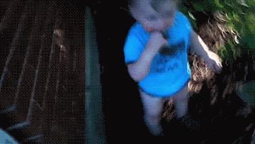 澳洲大量狗舔蟾蜍上瘾,狗狗舔到蟾蜍有没有事