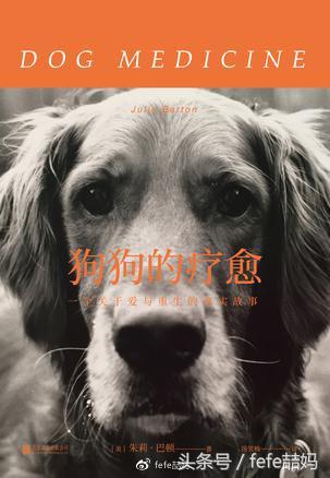 狗年狗狗书籍,狗年旺旺的书籍