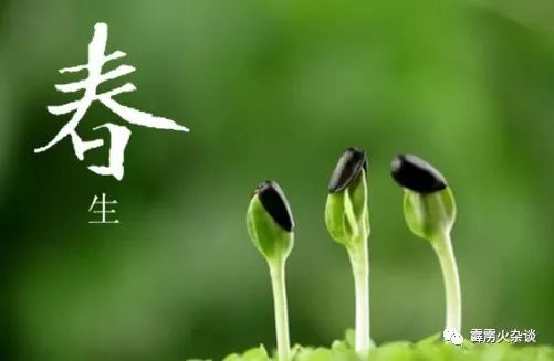 易经八卦与人体五行,易经五行阴阳气血