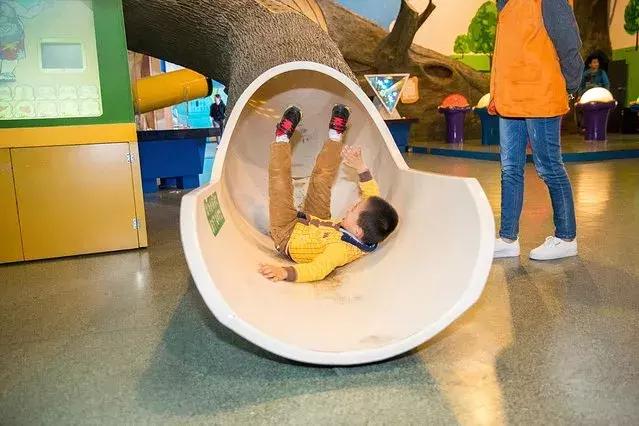 厦门旅行攻略亲子游,厦门自由行亲子游最强攻略