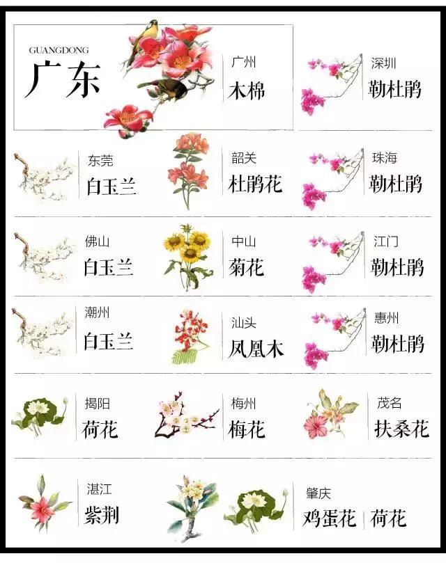 盘点史上最全中国各城市市花,中国各大城市的市花分别是什么