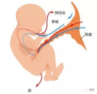 35周孕妈为什么会破水,孕妇36周羊水一直少