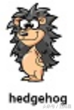 各种动物的英文单词视频,2-8岁儿童学动物英文单词