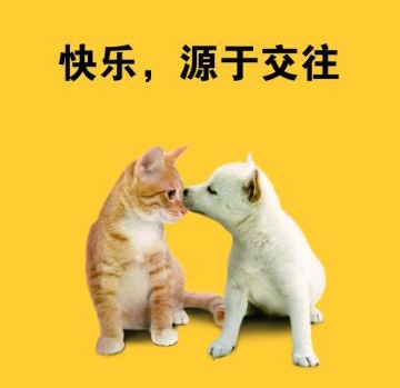 刚入职遇见更好的单位怎么办,不能及时入职新单位怎么沟通